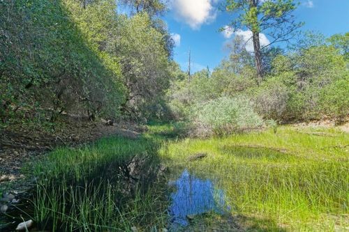 3501 Elysian Way, Placerville, CA, 95667-9292 | Card Image