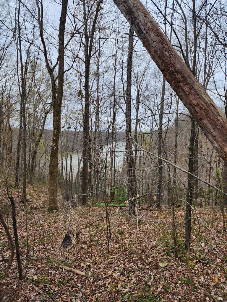 Land in Albany 5
