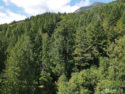 0 Cannon Road, White Pass, WA, 98937 | Card Image