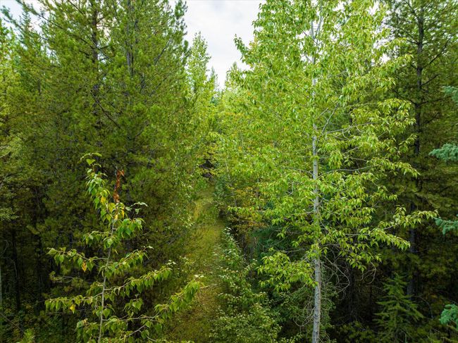 775 Trail Creek Rd, Home with 0 bedrooms, 0 bathrooms and null parking in Polebridge MT | Image 14