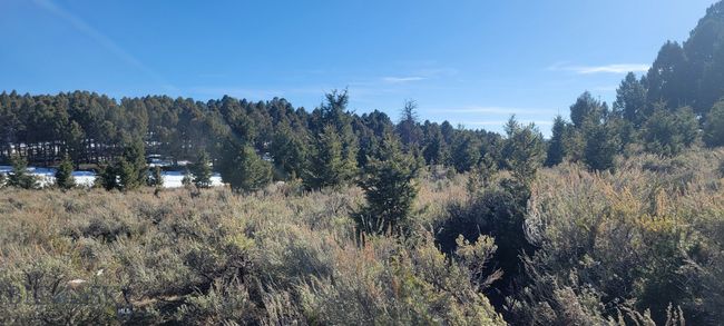 3 Bivens Creek Ridge Road, Home with 0 bedrooms, 0 bathrooms and null parking in Sheridan MT | Image 27