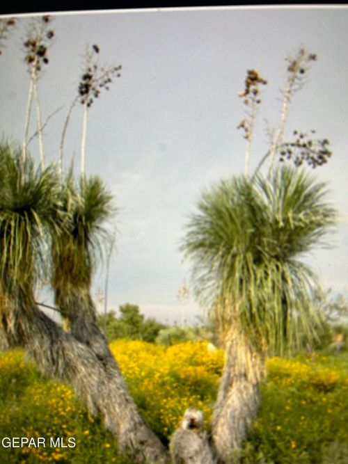 PN-75978 Sierra Blanca Ave, Sierra Blanca, TX, 79851 | Card Image