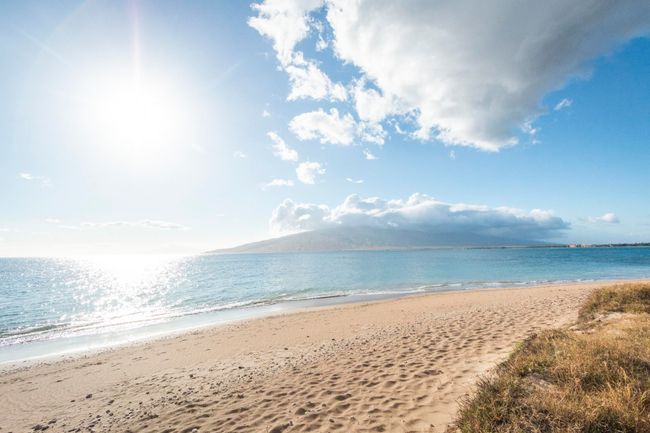 APT-301 - 938 S Kihei Rd, Condo with 1 bedrooms, 1 bathrooms and null parking in Kihei HI | Image 30