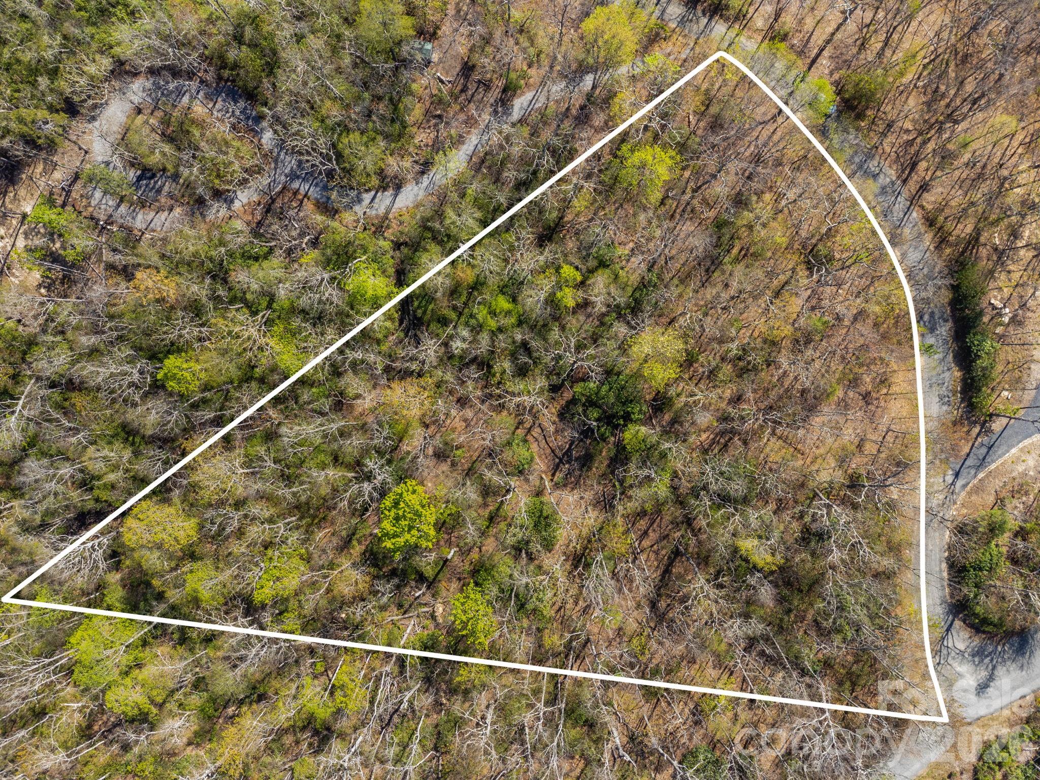 Land in Spruce Pine 5