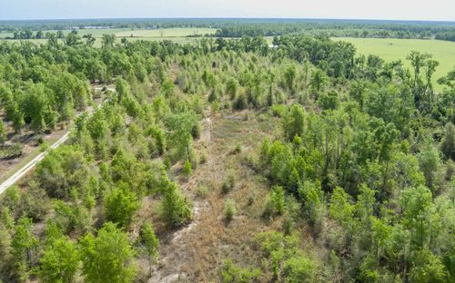 000 Sw Graceland Rd, Mayo, FL, 32066 | Card Image