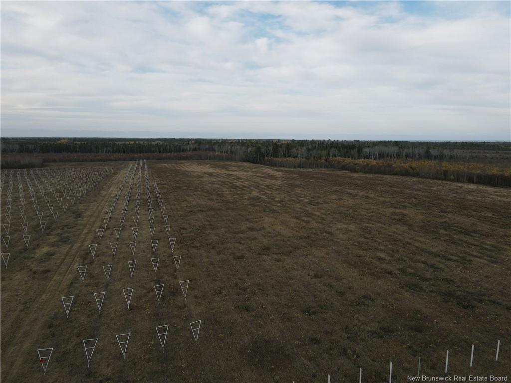 Land in Sainte-Anne-De-Kent 5