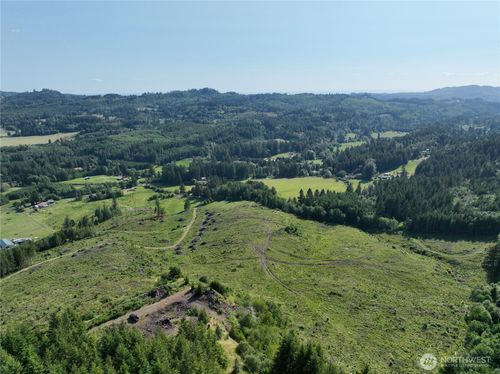 0 Ne 206th Ave, AMBOY, WA, 98601 | Card Image