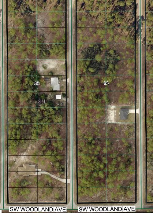TBD Nw Buena Vista Rd, DUNNELLON, FL, 34431 | Card Image