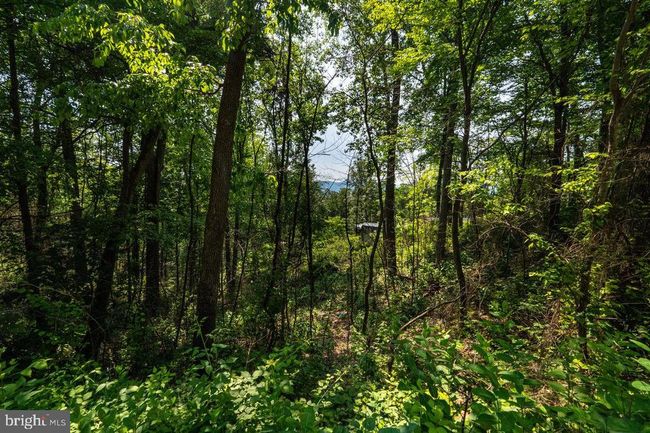 0 Hidden Rd, Home with 0 bedrooms, 0 bathrooms and null parking in LURAY VA | Image 27