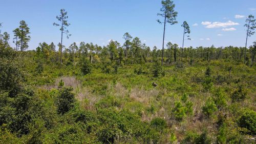 5 Rogers Springs Road Road, PERRY, FL, 32348 | Card Image