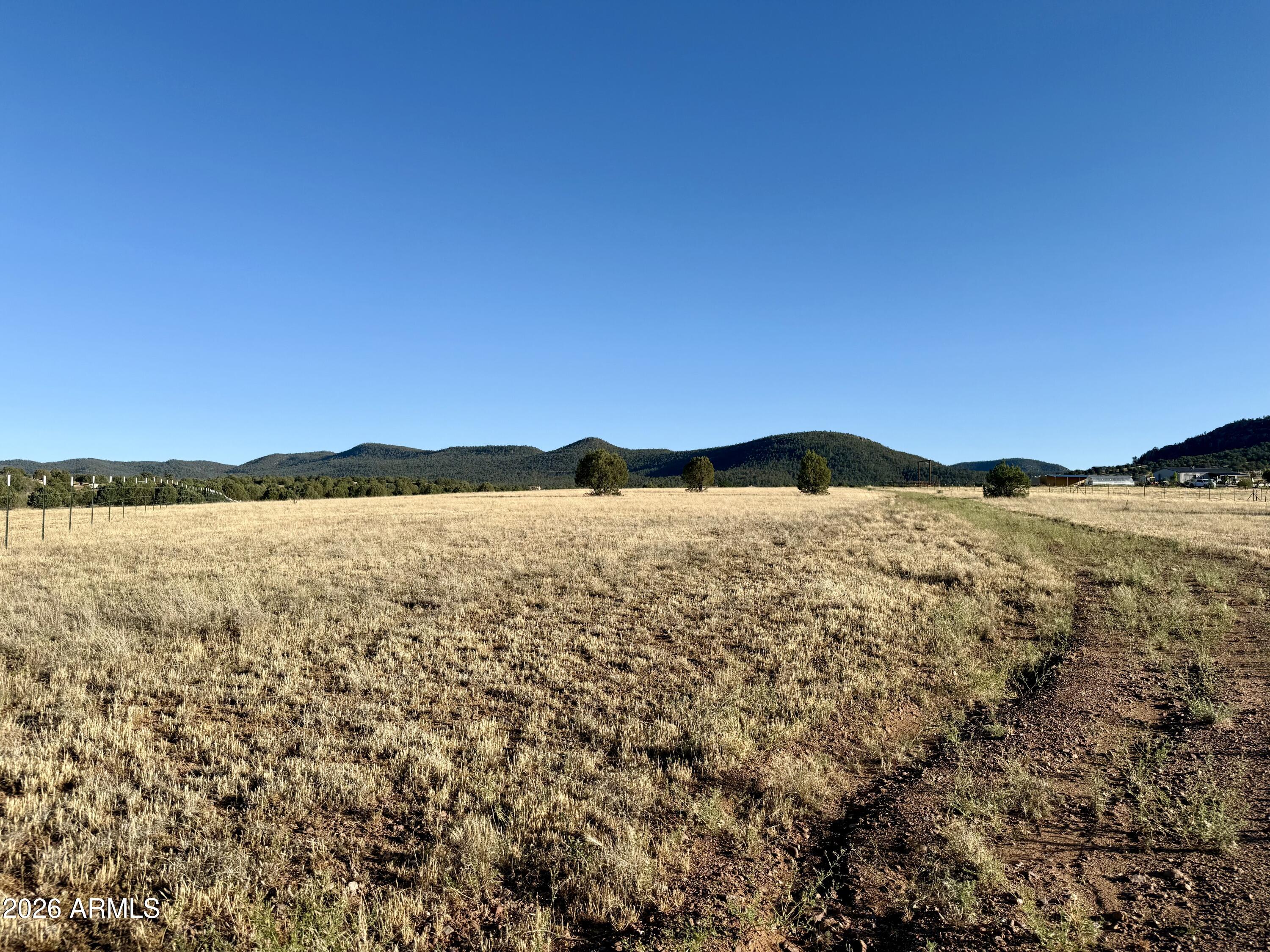 Land in Young 2