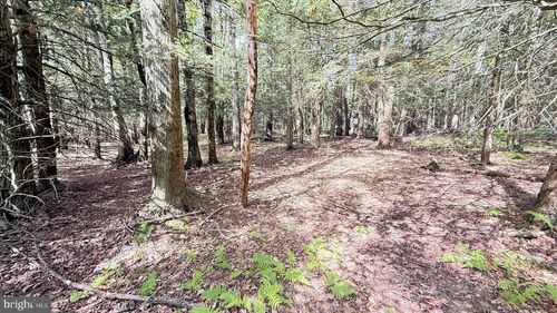 211 Aquaris Ln, Lake Ariel, PA, 18436 | Card Image