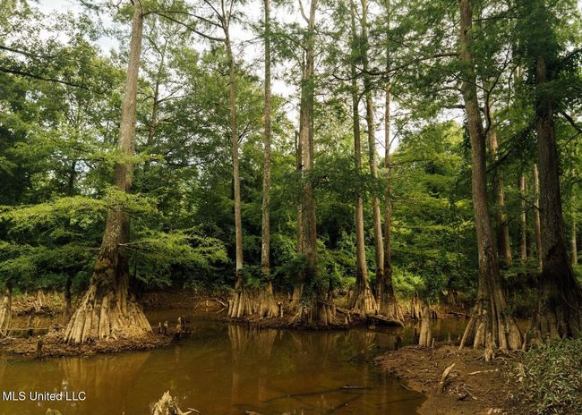 Castens Creek Pics-61 | Image 27