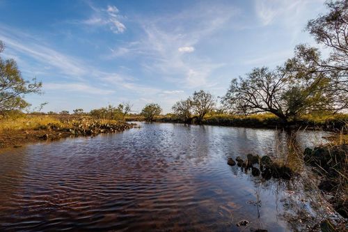 TBD Hwy 67, Talpa, TX, 76882 | Card Image