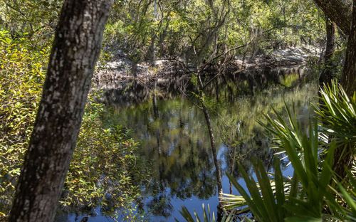 TBD Se 194th Ln, White Springs, FL, 32096 | Card Image