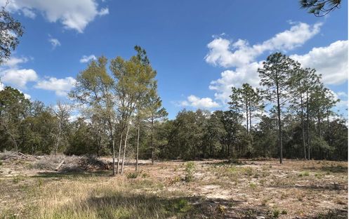 000 Ne 134th Ter, Williston, FL, 32696 | Card Image