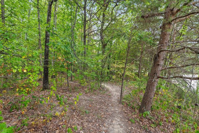 2506 Bristlecone Ln, House other with 6 bedrooms, 5 bathrooms and null parking in Signal Mountain TN | Image 89