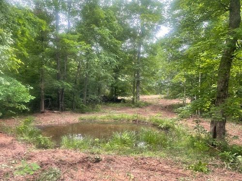 0 Mccollum Rd, Hurricane Mills, TN, 37078 | Card Image
