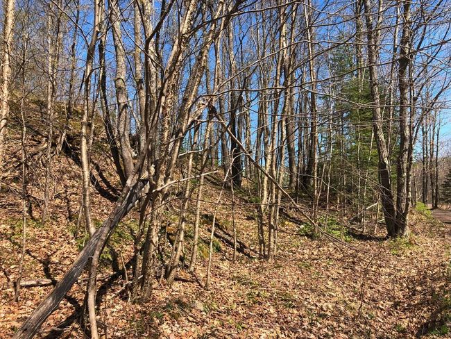 Lot 35 N Alpine Dr, Home with 0 bedrooms, 0 bathrooms and null parking in Upson WI | Image 10