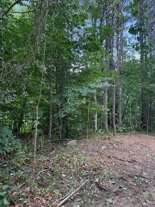 7 Birdsong Ln, Windham, ME, 04062-4573 | Card Image