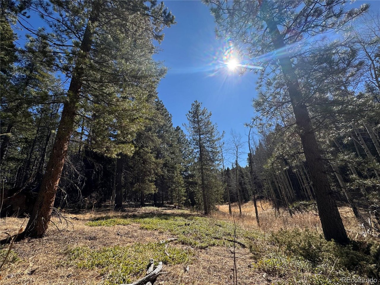 Land in Conifer