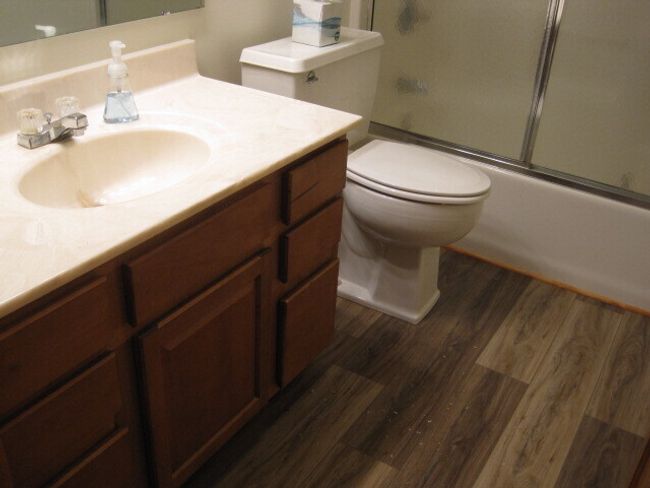 Hall Bath - New Floor Coverings! | Image 17