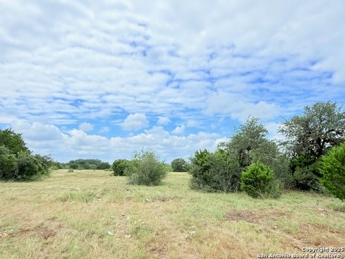 4 Cardinal Dr, Camp Wood, TX, 78833 | Card Image