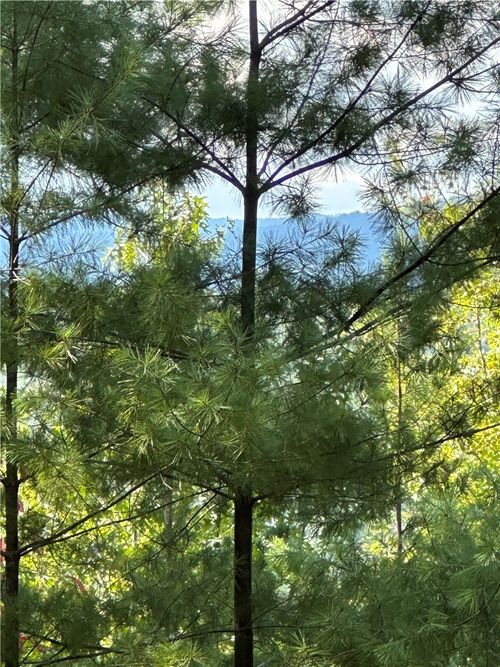 318 Ginseng Dr, Sunset, SC, 29685-2225 | Card Image