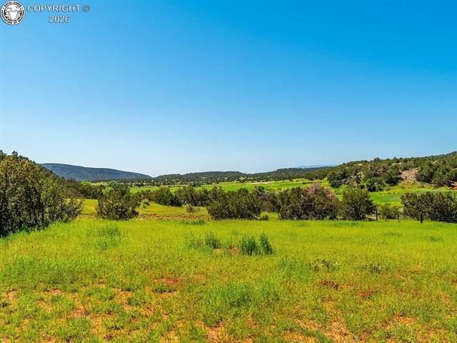 Land in Canon City 3
