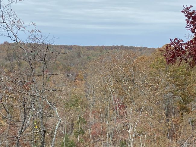 0 Mc Cord Hollow Rd, Home with 0 bedrooms, 0 bathrooms and null parking in Hohenwald TN | Image 19