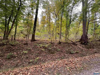 35+/- Acres Alf Harris Road, Home with 0 bedrooms, 0 bathrooms and null parking in Prospect TN | Image 3