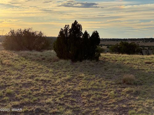 1 N9023, Concho, AZ, 85924-1312 | Card Image