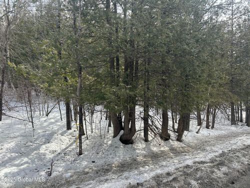 L24.000 Hogback Rd, Crown Point, NY, 12928 | Card Image