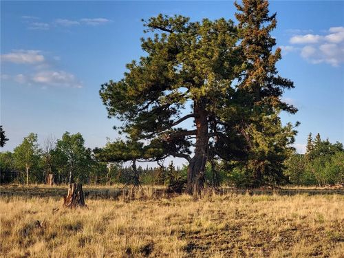 22 Teton Trl, Como, CO, 80432 | Card Image