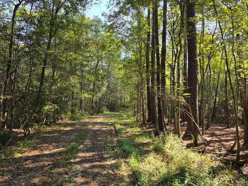 21.79 Acre Homer Ladner Rd, Poplarville, MS, 39470 | Card Image