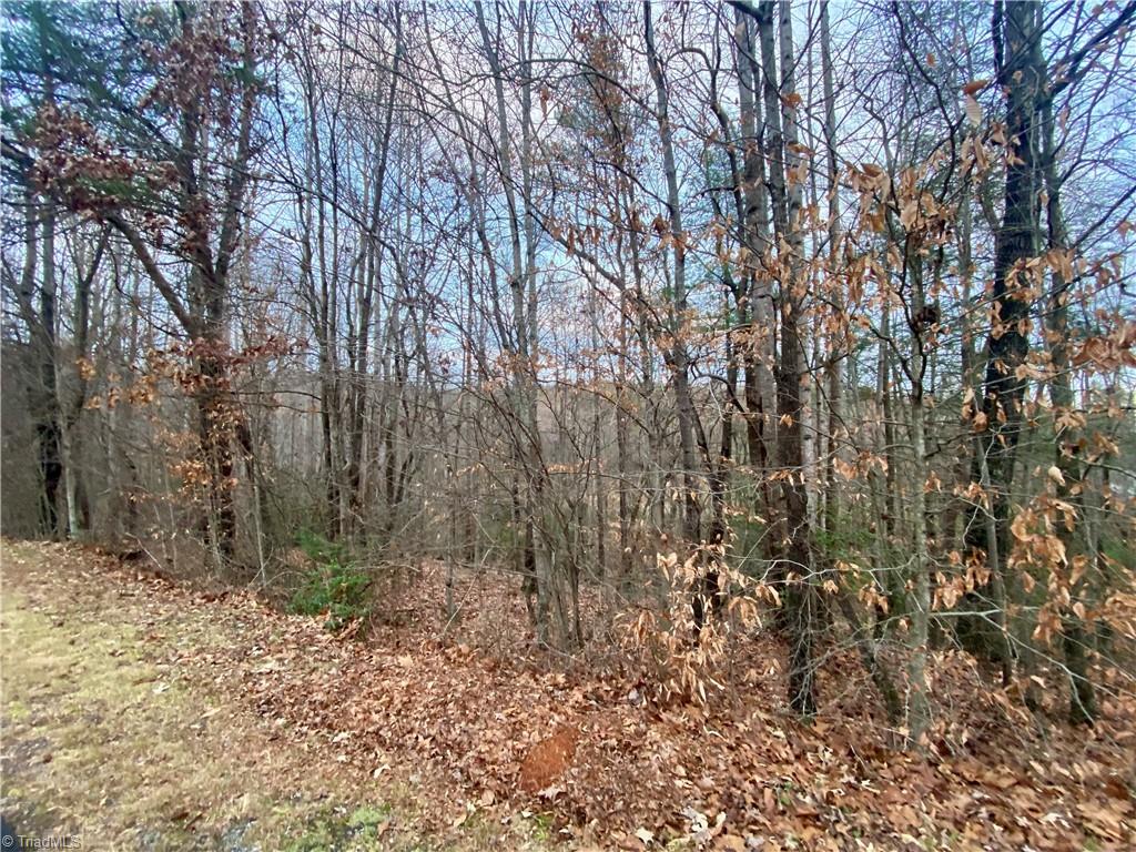 Land in North Wilkesboro 4