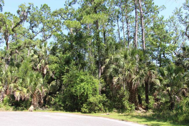 1 Hobbs Way, Home with 0 bedrooms, 0 bathrooms and null parking in ST MARKS FL | Image 14