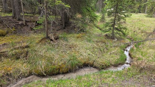 1776 Coon Hollow Rd, Kila, MT, 59920-8542 | Card Image