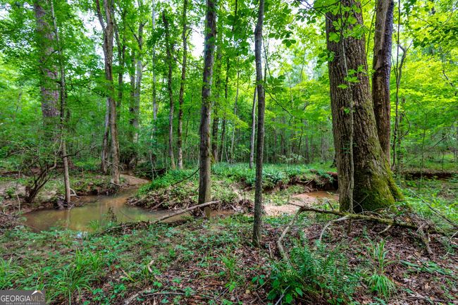 0 John Lovelace Rd, Home with 0 bedrooms, 0 bathrooms and null parking in LAGRANGE GA | Image 29