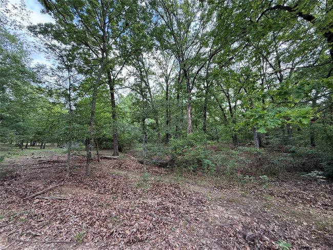 72 N Farm Road 900 N, Home with 0 bedrooms, 0 bathrooms and null parking in Saltillo TX | Image 38
