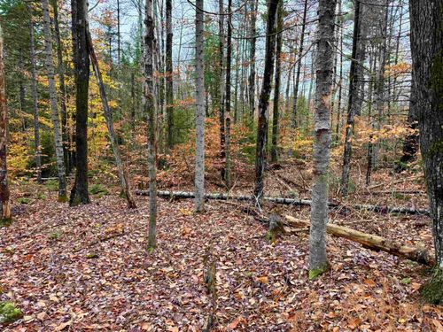 0 Washington Dr, Washington, NH, 03280 | Card Image