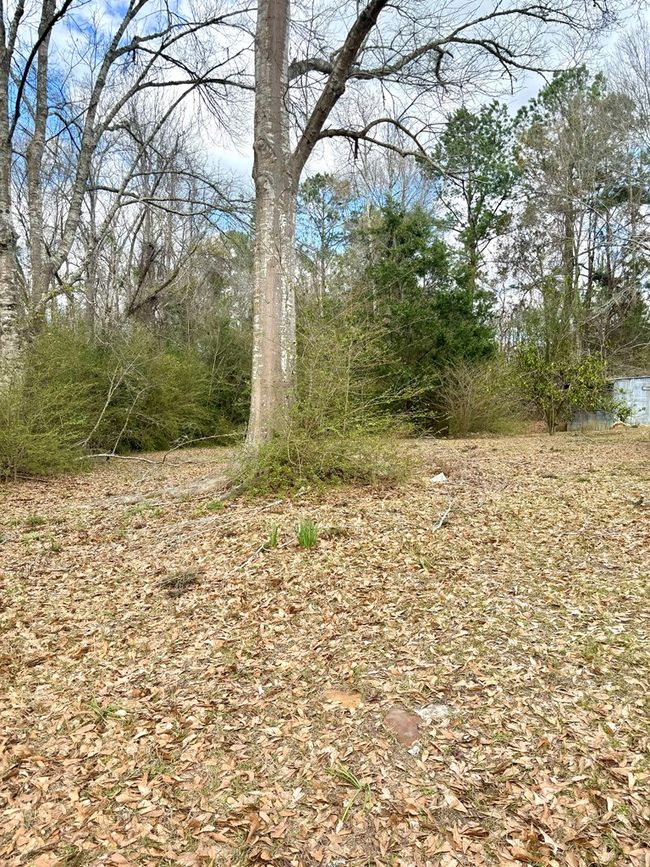 101 Will Thompson Rd, Home with 0 bedrooms, 0 bathrooms and null parking in Picayune MS | Image 11