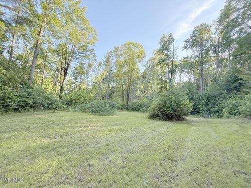 lot-5-709 Heartwood Ln, Butler, TN, 37640-5924 | Card Image