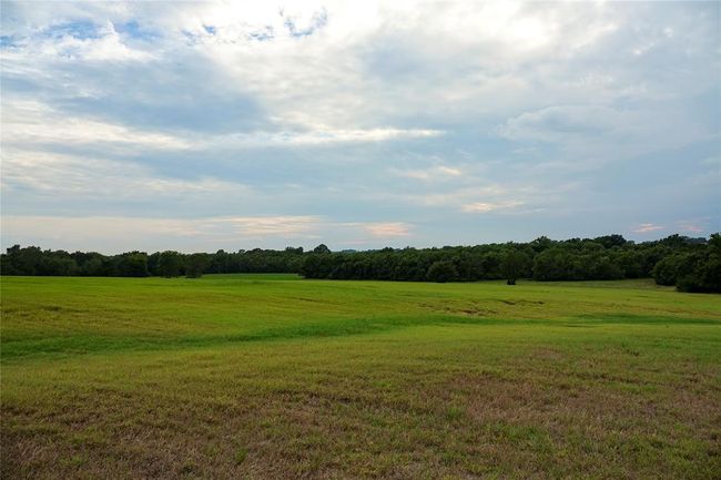 View of woods with a view of rural / pastoral area | Image 10