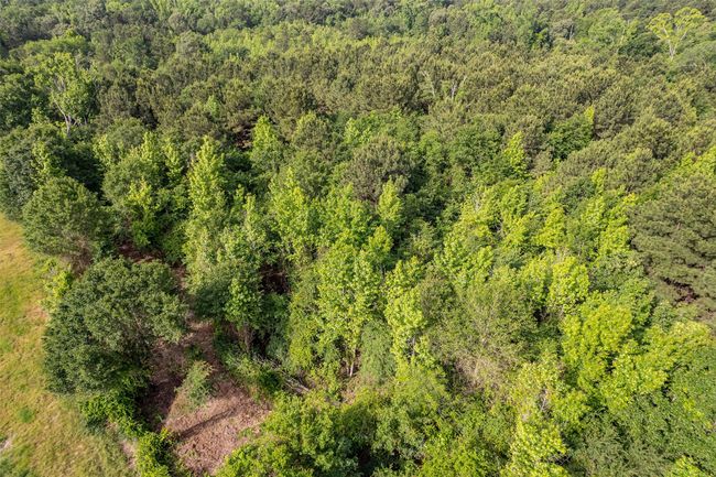 0 Johnson Rd, Home with 0 bedrooms, 0 bathrooms and null parking in Winona TX | Image 24