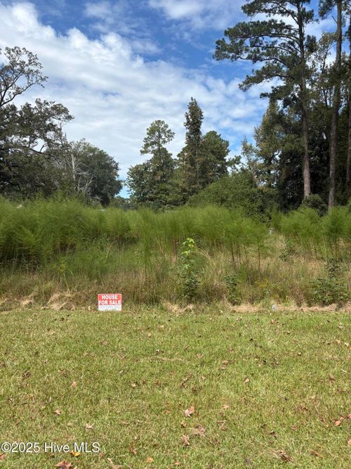 N/A Sw Southwest Rail Road Street, Wallace, NC, 28466 | Card Image