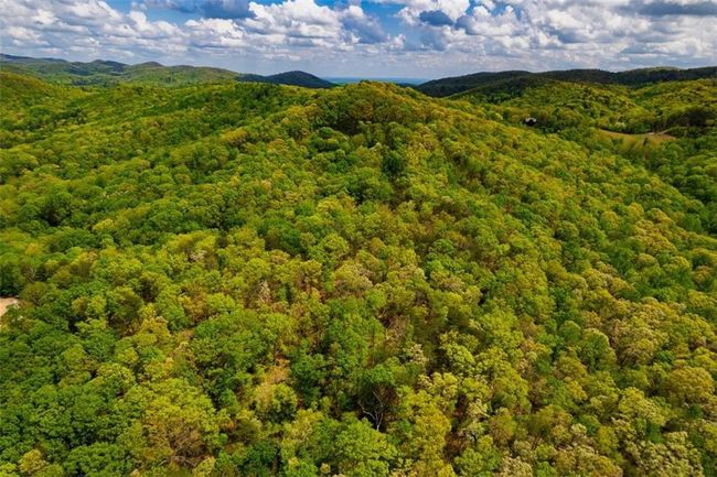 91 - 43 Old Burnt Mountain Rd, Home with 0 bedrooms, 0 bathrooms and null parking in Ellijay GA | Image 7