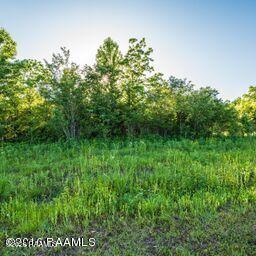 Land in St. Martinville 2