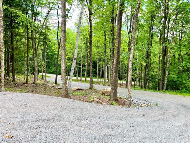 627 Glen Rd, House other with 4 bedrooms, 2 bathrooms and null parking in Peru VT | Image 38