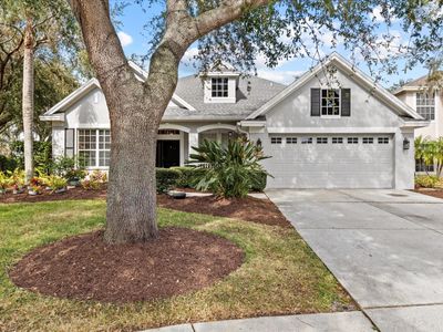 2993 Naughton Way, House other with 5 bedrooms, 3 bathrooms and null parking in TARPON SPRINGS FL | Image 3